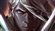 Ayleo83's avatar