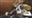 G0DD0K1RA's avatar