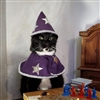 CrisMtz's avatar