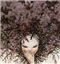 superparaplu's avatar