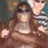 moinky's avatar