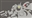 Firebaren's avatar