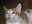 SteveTheForbidden's avatar