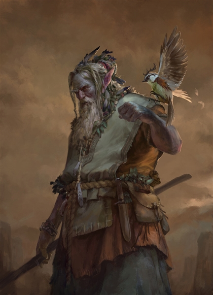 Avian Guide Image