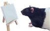 osmosisjotaro's avatar