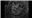 Gremlin's avatar