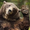 lilac_squirrel's avatar
