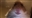 SandyPanda's avatar