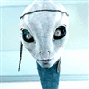 Dhrydan_TaleSpinner's avatar