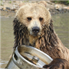 Grizzly_Wizzly_Woo's avatar