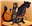 sheksmex's avatar