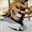 Mc_Mammoth's avatar