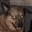 Thorin_of_the_Snow's avatar