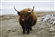 Yaks1414's avatar