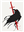 The_Raven_Ranger7's avatar