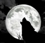 whoisyourdoc's avatar