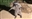 BearculesTheGreat's avatar