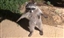 BearculesTheGreat's avatar