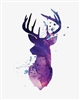 Deerr612's avatar