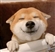 Fwuffy_goat_69's avatar