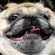 MissRippedJeans's avatar