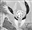 VagustheHermit's avatar