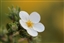 onespicybanana's avatar