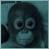 Lesten's avatar