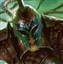 DM_Brandon's avatar