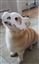 XplosiveYoshi's avatar