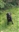 Jobert's avatar