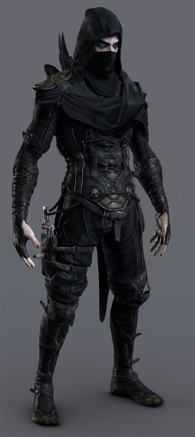 Way Of The Ninja Image