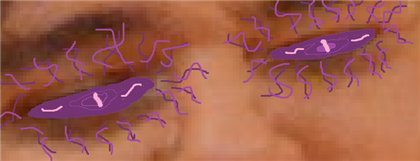 Domain Of Vengeance Image