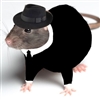 LennyTheRat's avatar