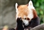 kingdracon's avatar