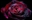 KlaraDaggerheart's avatar