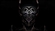 Umbrann's avatar
