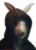 HavenBattleLord's avatar