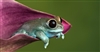 OfficialMonsterEnergy's avatar