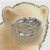 Pooki's avatar