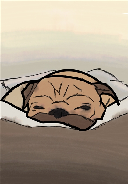 Noodle The Pug Image