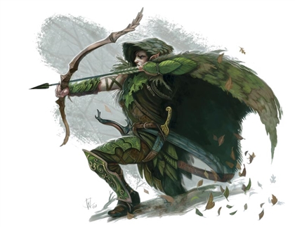 Leaf Strider Image