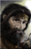 HeilynPrichett's avatar