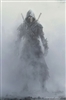 Arktos_de_Storm's avatar
