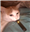 PythosDemon's avatar