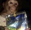 GamerGuyJack's avatar