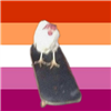 CookieDragon's avatar