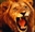 summerlion's avatar