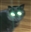Pan_the_Rune_Master's avatar
