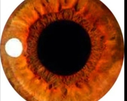 Oath Of The Eye Image